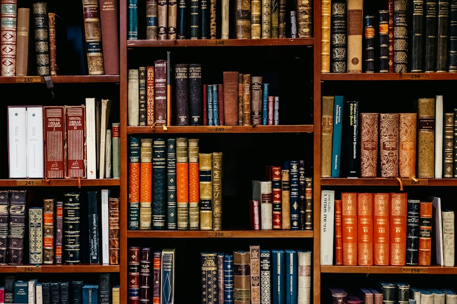 Quiet library shelves for reading time